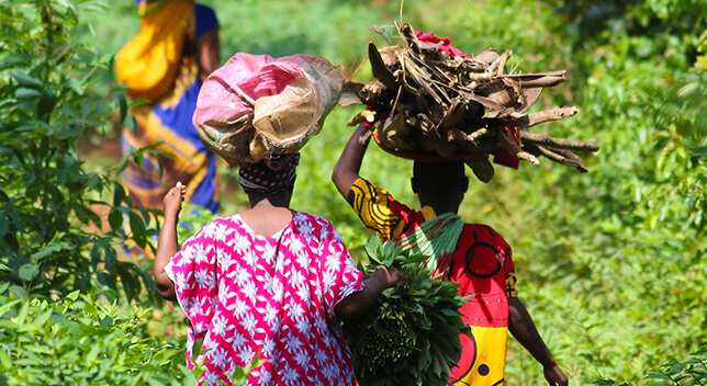 Community members walking through a green conservation area