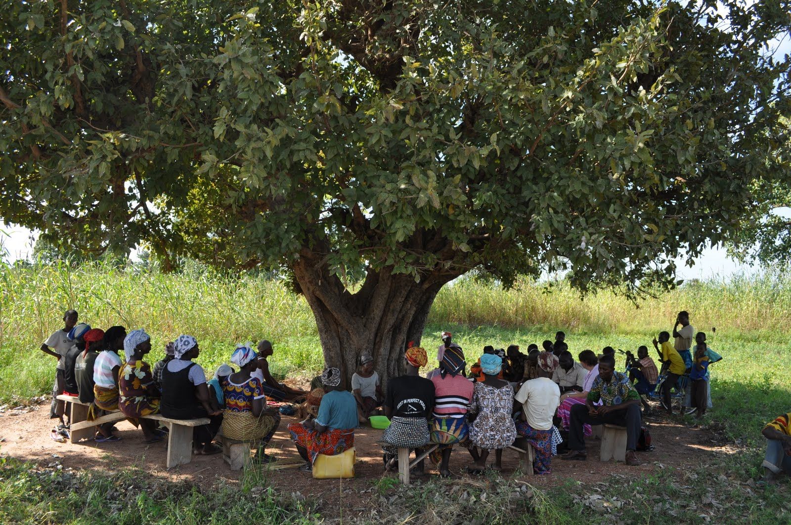 Community workshop under trees